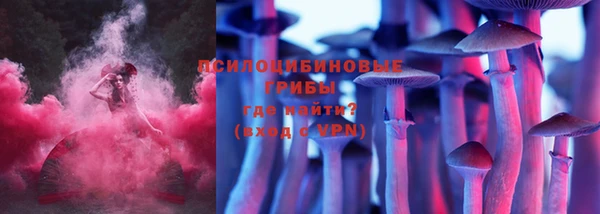 круглые Алзамай