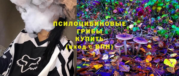 круглые Алзамай