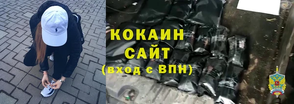 амф Алексин