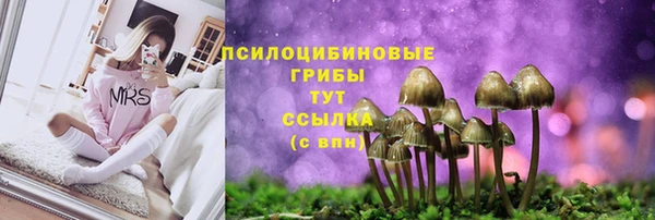 амф Алексин